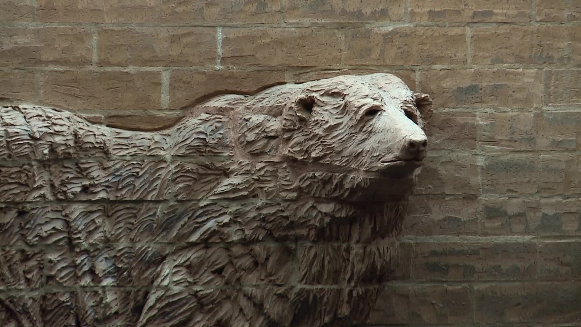 White Bear Lake Conservation District (2025/10/21)